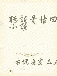 听说爱情回来过小说