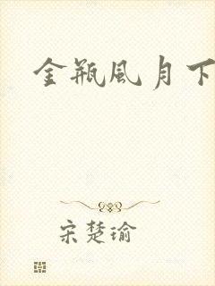金瓶风月下载