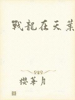 战龙在天叶凡