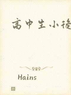 高中生小后妈