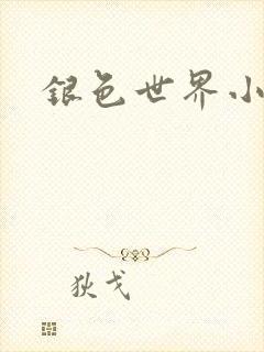 银色世界小说