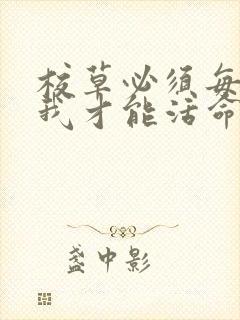 校草必须每天吸我才能活命[穿书]