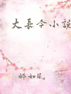 大长今小说下载