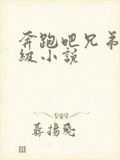 奔跑吧兄弟限制级小说