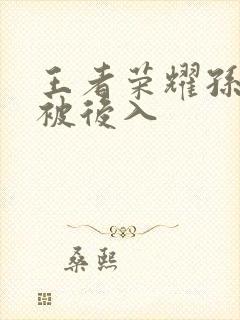 王者荣耀孙尚香被后入