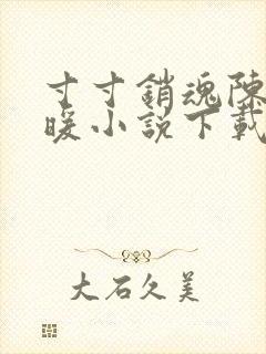 寸寸销魂陈聪王暖小说下载