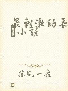 最刺激的长篇乱惀小说