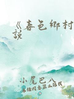 《春色乡村》小说