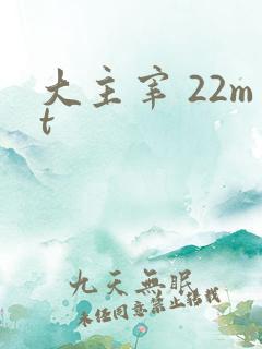 大主宰 22mt