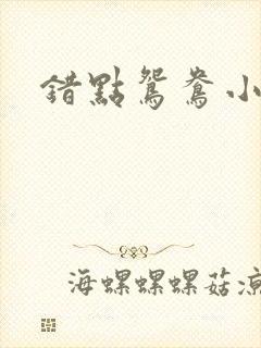 错点鸳鸯小说