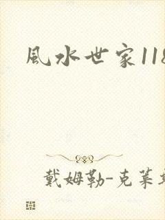 风水世家118
