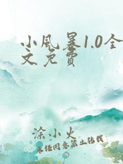 小风暴1.0全文免费