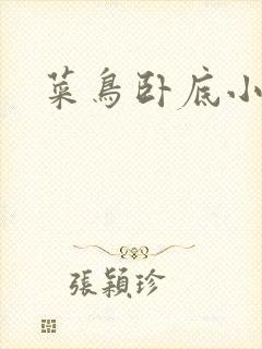 菜鸟卧底小正太