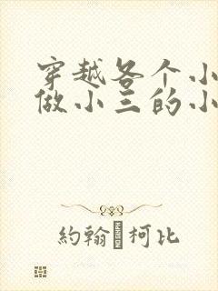 穿越各个小世界做小三的小说