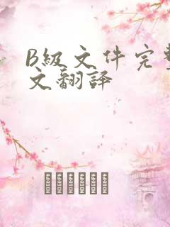 B级文件完整中文翻译