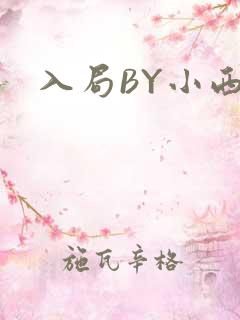 入局BY小西