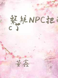 系统NPC把我c了