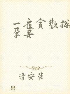 一夜贪欢总裁幸孕妻