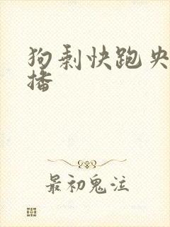 狗剩快跑央八首播