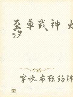 至尊武神 火龙汐