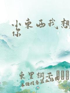 小东西我想弄坏你