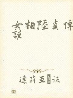 女相陆贞传奇小说