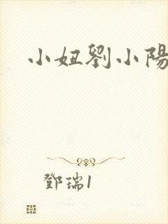小妞刘小阳