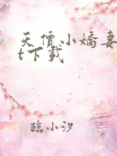 天价小娇妻txt下载