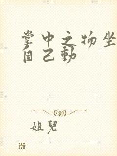 掌中之物坐上来自己动