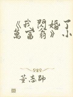 《我闪婚了个亿万富翁》小说