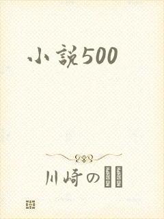 小说500
