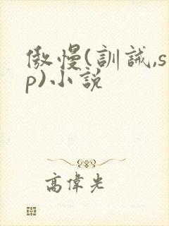 傲慢(训诫,sp)小说