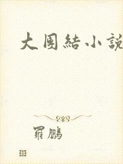 大团结小说下载