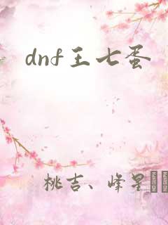 dnf王七蛋