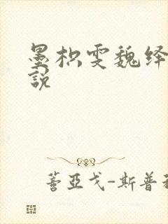 墨枳雯魏绎颔小说