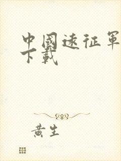 中国远征军全集下载