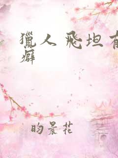 猎人 飞坦有洁癖