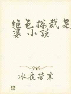 绝色总裁是我老婆 小说