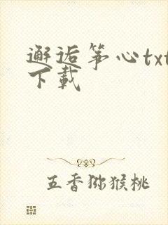 邂逅筝心txt下载