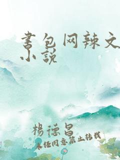 书包网辣文全本小说