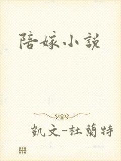 陪嫁小说