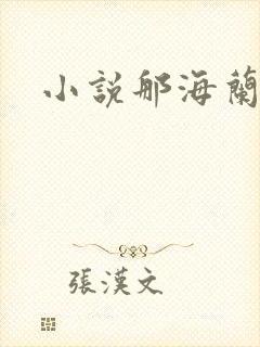小说那海兰珠