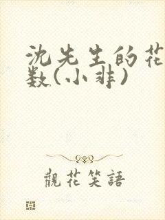 沈先生的花式调数(小非)