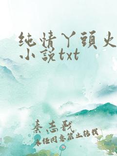 纯情丫头火辣辣小说txt