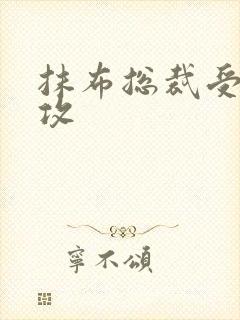 抹布总裁受多人攻