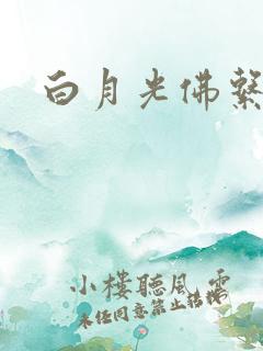 白月光佛系日常