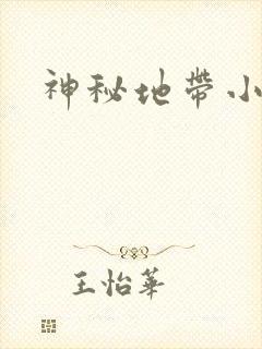 神秘地带小说