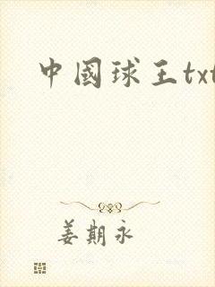 中国球王txt