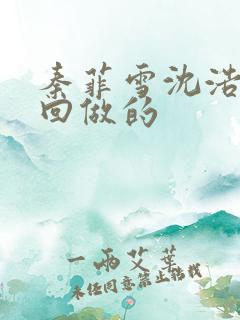 秦菲雪沈浩第几回做的