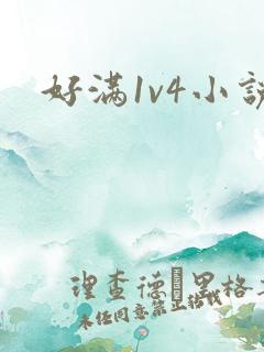 好满1v4小说